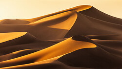 Golden sand dunes with dramatic shadows cast by late afternoon sunlight.