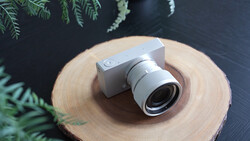 Compact mirrorless camera with white prime lens mounted on a circular wood slice against dark background with fern leaves.