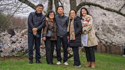 Five people standing together on grass beneath blooming cherry blossom trees.