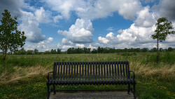 Dark wooden bench facing an open meadow under a blue sky with white clouds.