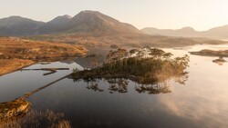 Pine trees on a small peninsula surrounded by still water, with mountains and golden light in the background.