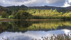 Densely forested hillside reflected in still water under overcast sky.