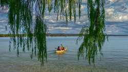 Yellow kayak with two paddlers framed by weeping willow branches hanging over calm water.