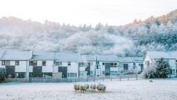Sheep grazing on a sandy beach in front of a row of modern residential buildings on a misty morning.
