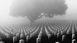 Military cemetery with countless white headstones extending to the horizon, a solitary tree visible through heavy fog.