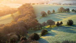 Rolling countryside landscape with frost-covered fields, scattered trees, and golden sunrise light illuminating distant hills.