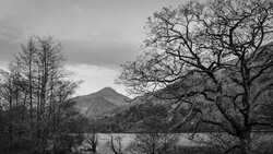 Bare trees frame a calm lake with a distant mountain peak under overcast sky.