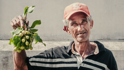 An elderly man in a pink cap holding a bundle of green fruit or buds near water.