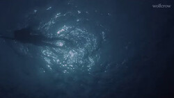 Large shark surrounded by a school of small fish in deep blue ocean water.