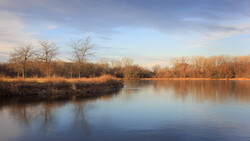 Bare deciduous trees line a calm river at golden hour, their reflections mirrored in still water.