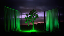 Illuminated tree silhouette framed by glowing green curtains against a dramatic sunset sky.