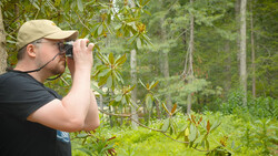 Man with binoculars observing foliage in a dense forest setting.