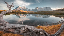Gnarled driftwood frames a mountain lake with perfect mirror reflections under dramatic sky.