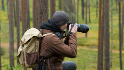 Photographer in forest wearing backpack, crouching to compose shot with telephoto lens.