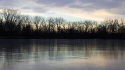 Bare trees reflected in still water at dusk, silhouetted against a cloudy sky.