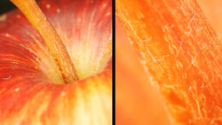 Macro split-screen comparison of fresh grapefruit halves showing texture and cross-section detail.