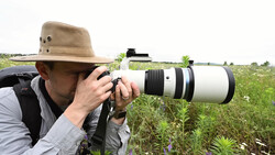 Photographer holding a white telephoto lens while looking through a camera in an overgrown field.