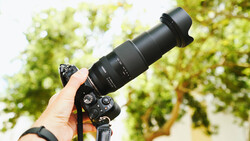 Photographer holding a telephoto lens mounted on a DSLR camera outdoors against a blurred green foliage background.