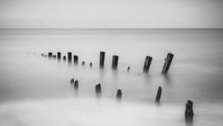 Weathered wooden pilings partially submerged in thick fog over still water.