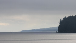 Calm bay with forested shoreline and distant sailboat under overcast sky.