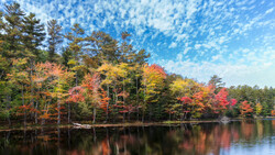 Autumn forest reflected in still water, showing vibrant red and yellow foliage mixed with evergreens under clear blue sky.