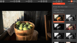 Wooden bushel basket filled with green apples, backlit by window light with dramatic shadows.