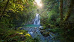 Waterfall cascading into a turquoise pool surrounded by moss-covered rocks and dense forest.