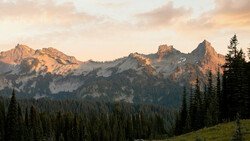 Alpine peaks bathed in golden hour light rise above a dense coniferous forest in a mountain valley.