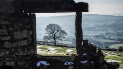 Barren tree framed through weathered stone window opening overlooking rolling hills and distant valley.