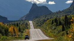 Straight mountain road stretching toward a dramatic peak, lined with coniferous forest and golden wildflowers under blue sky.