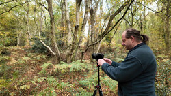 Photographer using a tripod-mounted camera in a forested woodland setting during golden hour.
