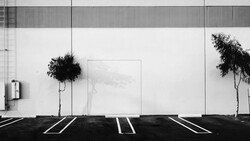 Minimalist parking lot with white lines, two young trees, and blank white wall under overcast sky.