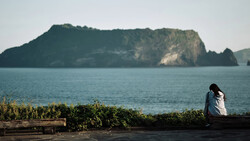 Person sitting on a log overlooking a forested island across calm turquoise water.