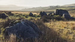 Rocky outcrops scattered across rolling moorland with golden grasses under overcast sky.