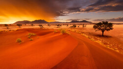 Desert landscape at sunset with red sand dunes, acacia trees, and mountains silhouetted against an orange sky.