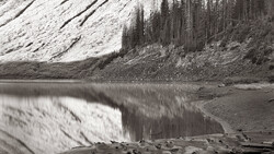 Snow-covered mountainside with coniferous forest reflected in still water, driftwood logs in foreground.