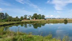 Rural landscape with calm river reflecting blue sky, trees, and distant buildings along grassy banks.
