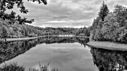 Tranquil river lined with dense forests reflects mirror-still water under overcast sky.
