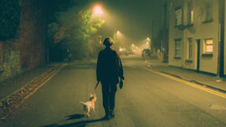 Person walking down an empty nighttime street with a small dog following behind.