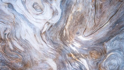 Close-up of weathered wood surface with swirling grain patterns and knots in cream, brown, and gray tones.