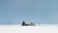 Isolated farmhouse with evergreen trees in snowy field under clear blue sky.