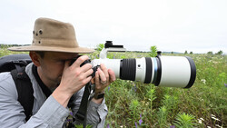 Photographer in tan hat using a white telephoto lens in an overgrown field.