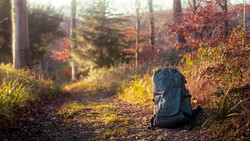 Blue backpack sitting on a forest trail surrounded by autumn foliage and dappled sunlight.