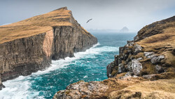 Dramatic basalt sea cliffs with turquoise ocean waves and a bird in flight overhead.