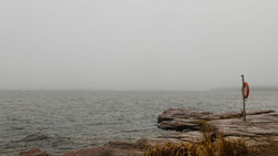 Life preserver mounted on weathered driftwood overlooking a foggy sea.
