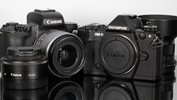 Canon and Olympus mirrorless camera bodies with lenses arranged on a reflective surface.