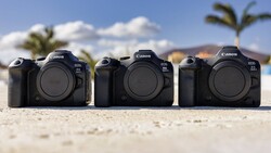 Three Canon EOS R5 mirrorless camera bodies arranged in a row on sand with palm trees and mountains in background.
