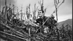Soldier in combat gear crouches among bare branches and vegetation in a war-torn landscape.