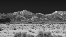 Snow-capped mountain range rising above sparse desert scrubland under dark sky.