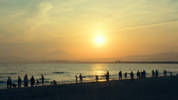 Silhouetted beachgoers standing along the shoreline at sunset, with golden light reflecting across calm water.